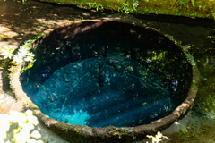 柿田川湧水群