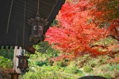 長谷寺
