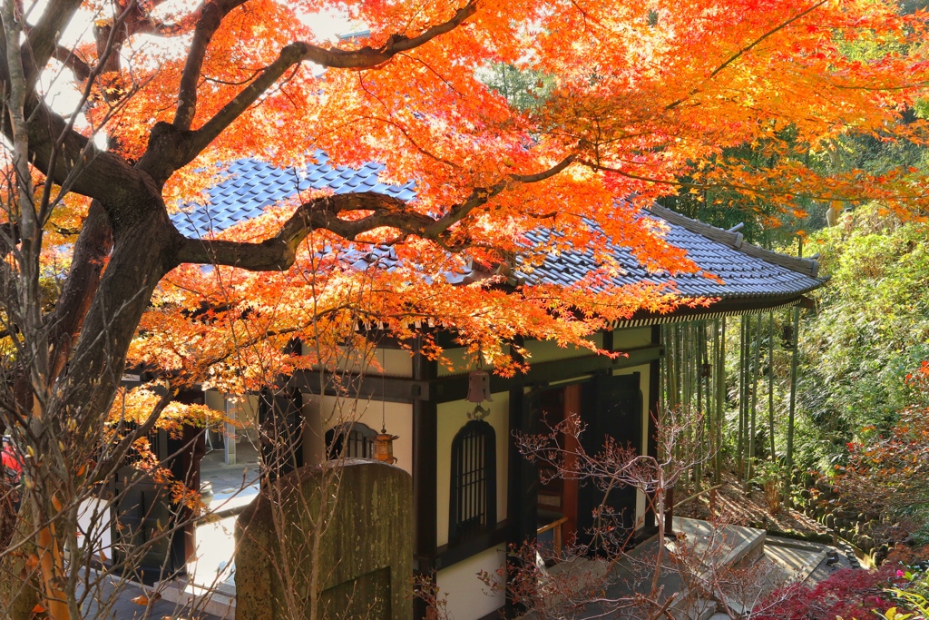 長谷寺