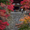 秋寺
