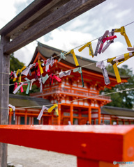 下鴨神社　おみくじ