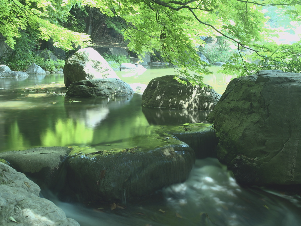 緑地