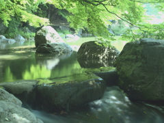 緑地