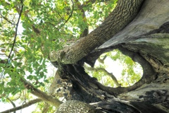 DSCF0729