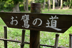 お鷹の道