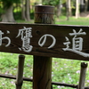 お鷹の道