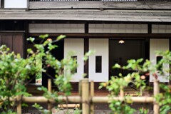 お鷹の道　散歩2
