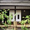 お鷹の道　散歩2