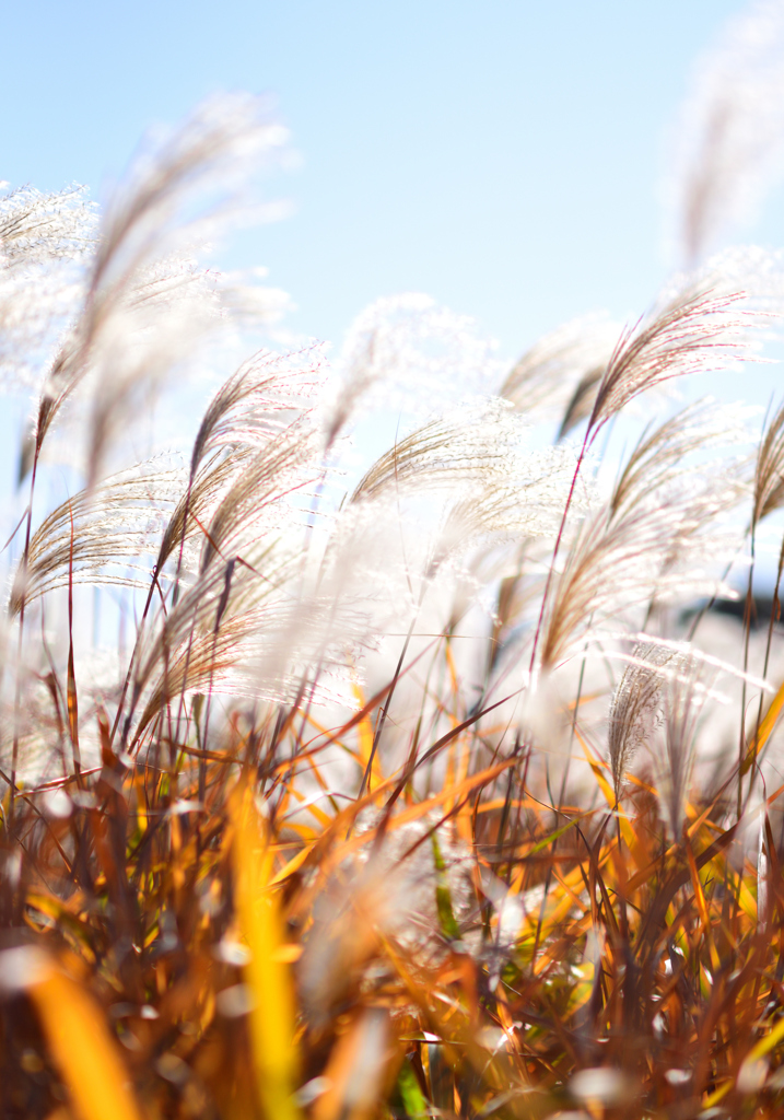 近づく冬の足音