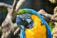 多摩ZOO