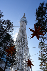 みんなが知ってる日本一のタワー