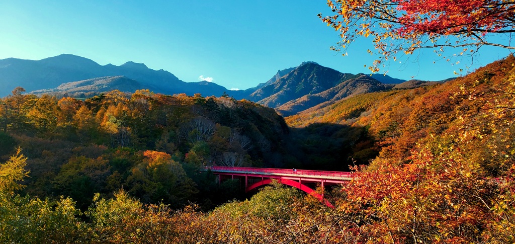 高揚（紅葉）の八ヶ岳