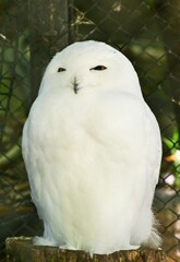 多摩ZOO