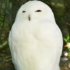 多摩ZOO