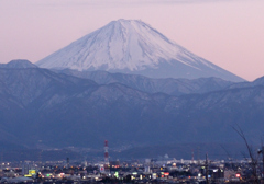 山梨富士
