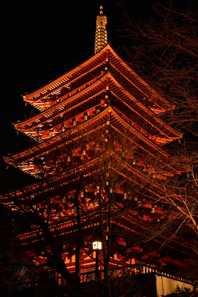 年末の五重塔