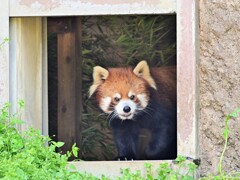 多摩ZOO