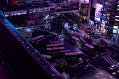 渋谷を見下ろす