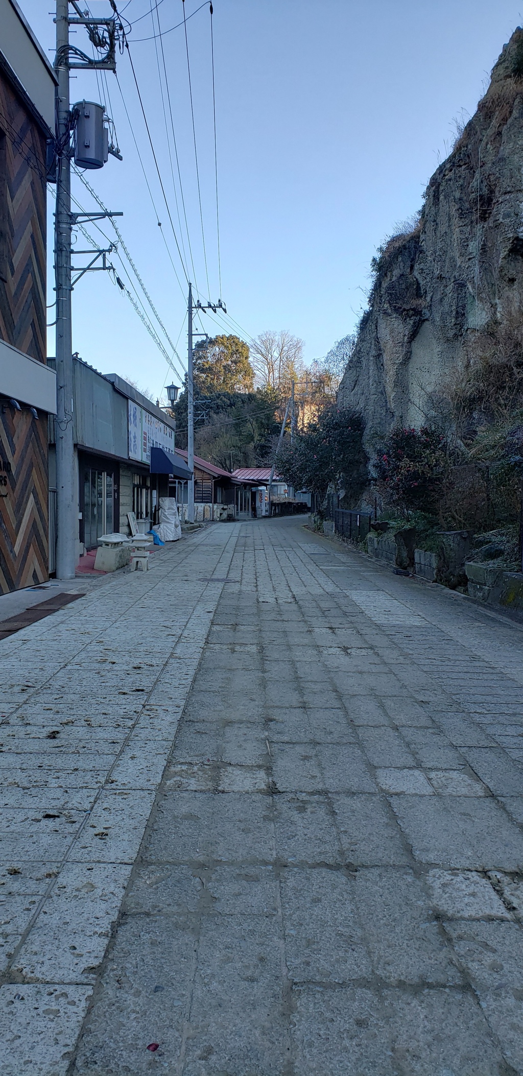 朝の散歩道