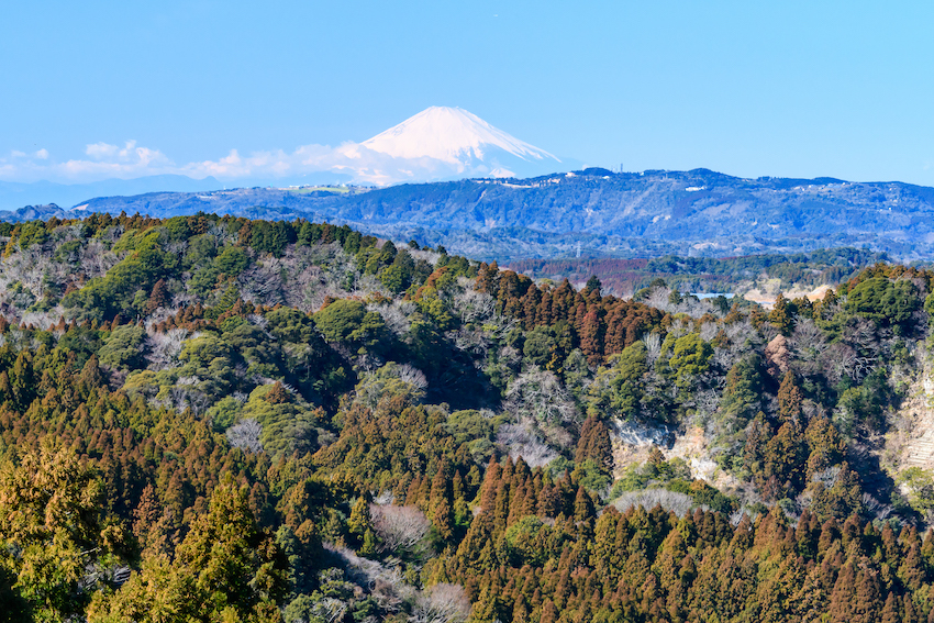 150km先の富士