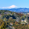 150km先の富士