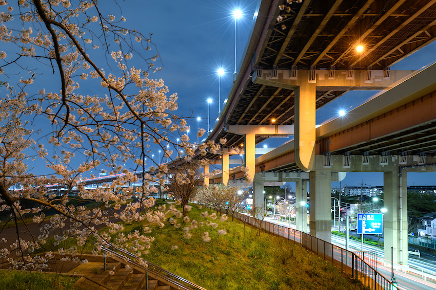 都市の煌びやかさに静かに佇む