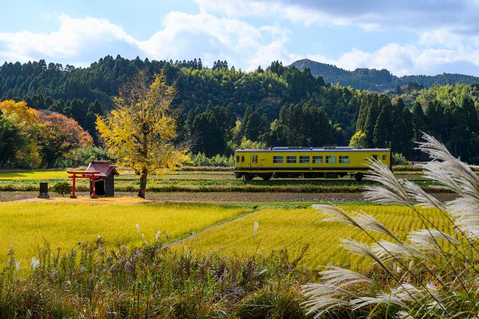 晩秋の旅