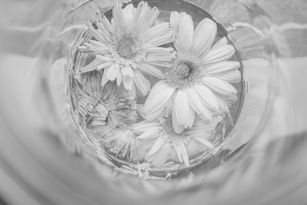 花びら