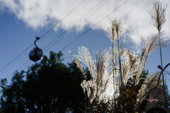 気まぐれな空