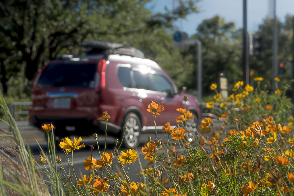 にんげんっていいな・・・