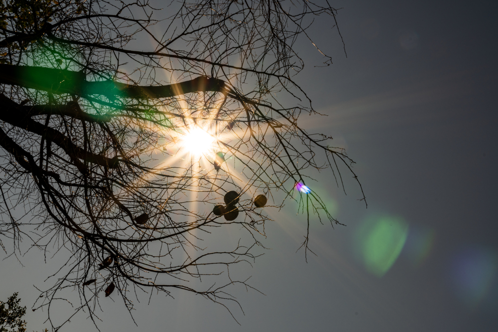 Place in the Sun.