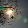 Place in the Sun.