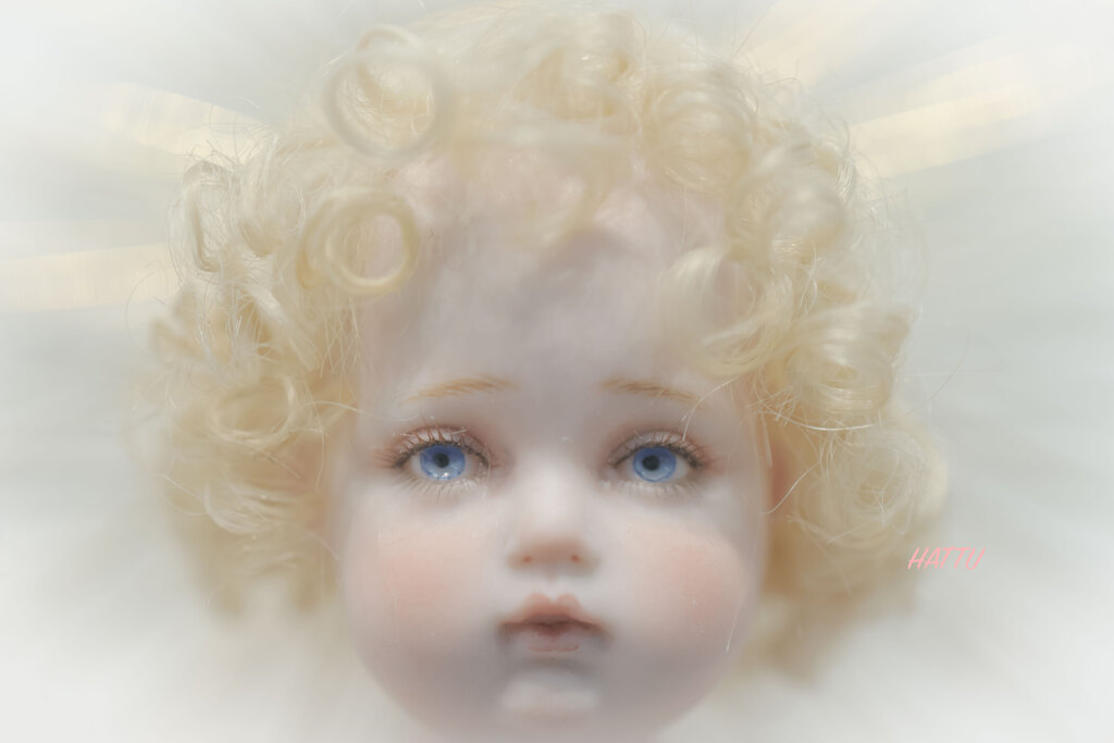 Angel.｡. *⁎⁺˳✧༚