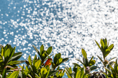 明日mo天気になぁれ。