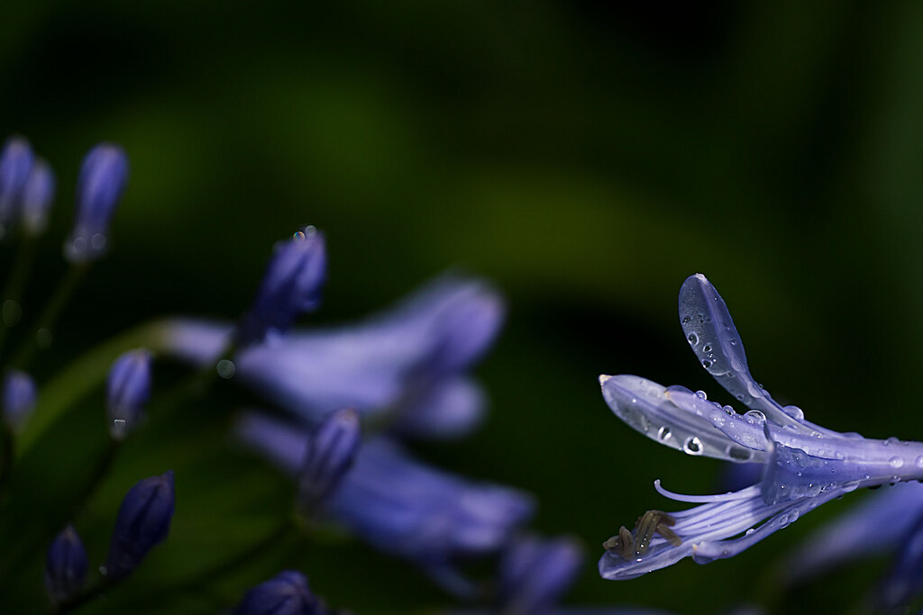 雨の日