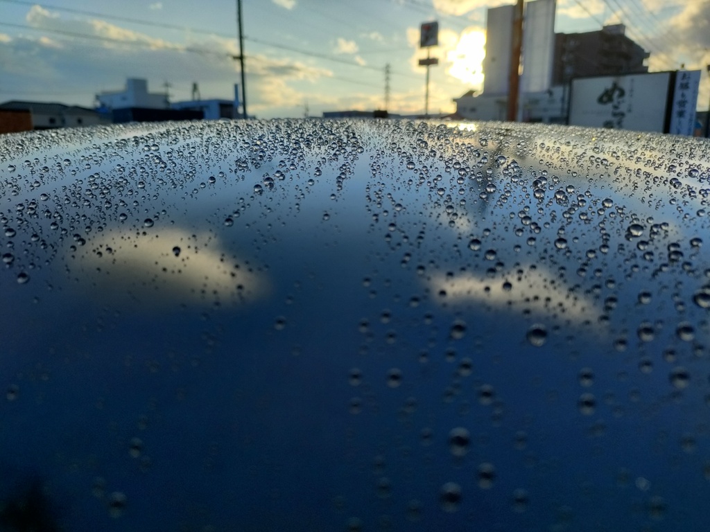 ワックス後の雨上がり！　2　11/1