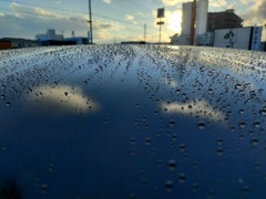 ワックス後の雨上がり！　2　11/1