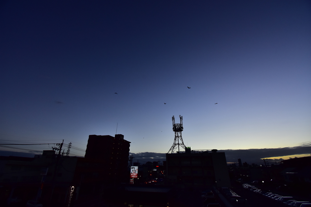 夕暮れ！　8/10