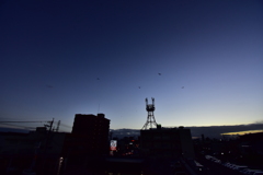 夕暮れ！　8/10