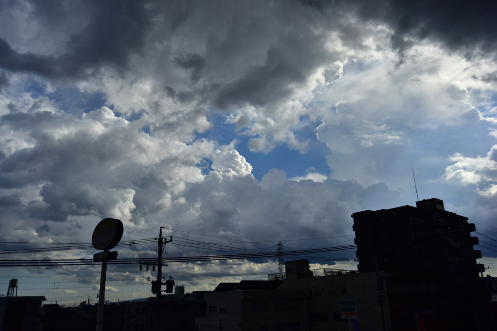 雨上がりの午後！　5/15