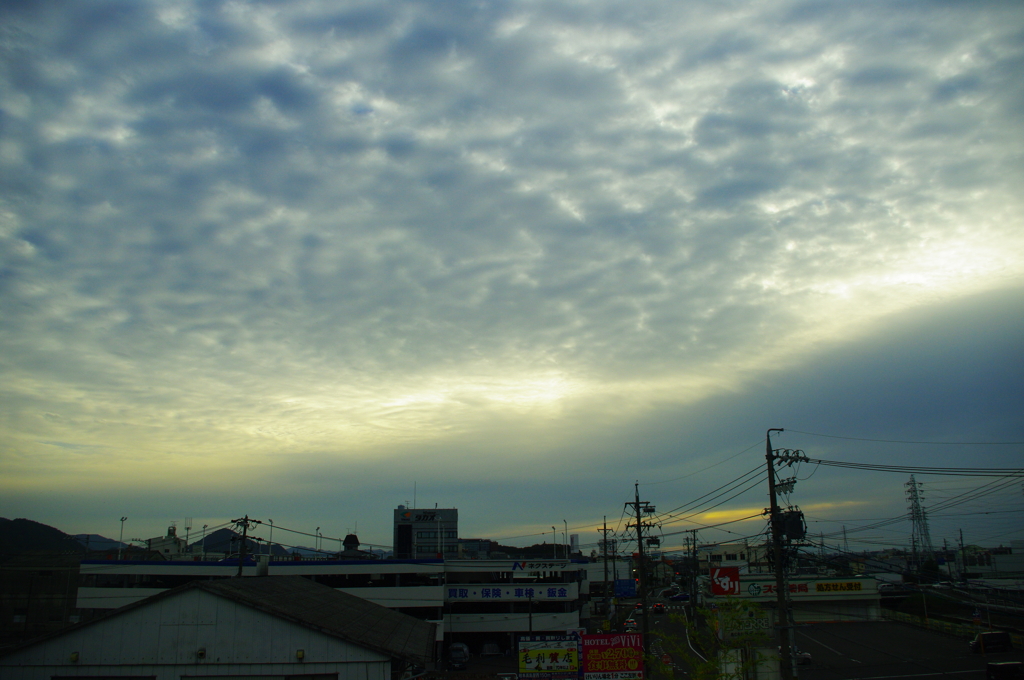 今朝の光景！　11/13