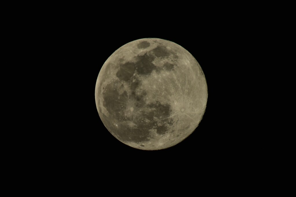 SNOW MOON  2/5