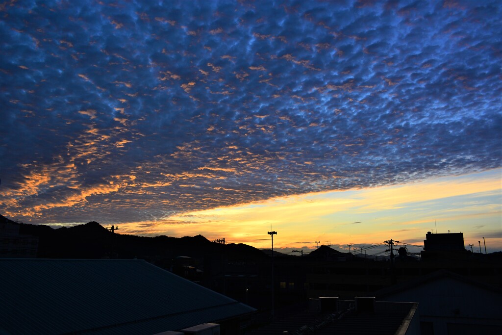 本日の朝焼け！　7/24