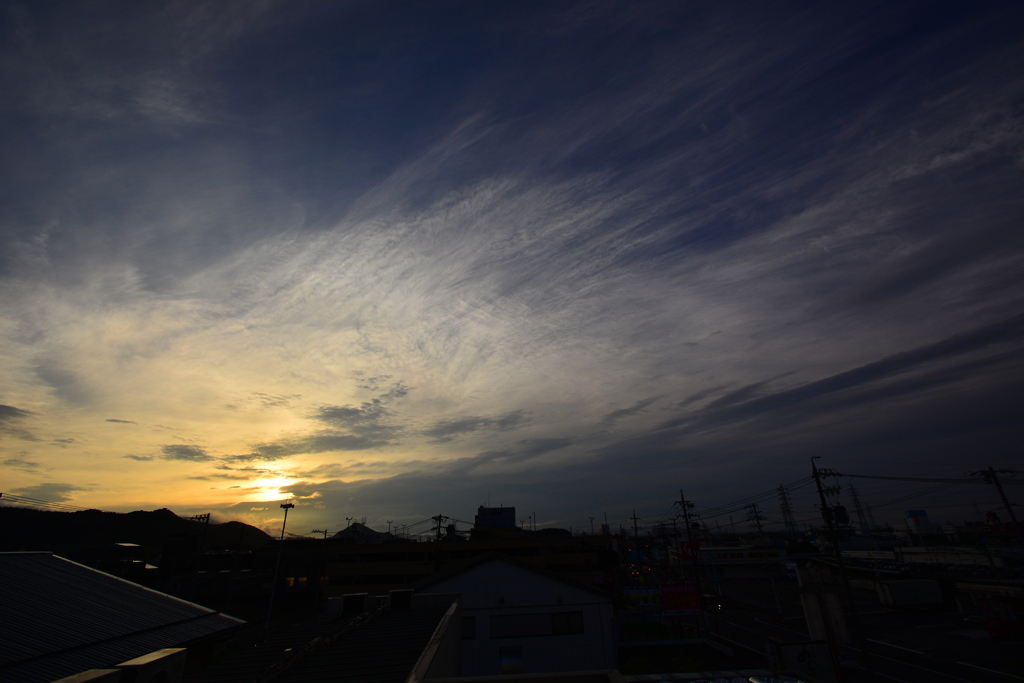 朝の光景！　7/20