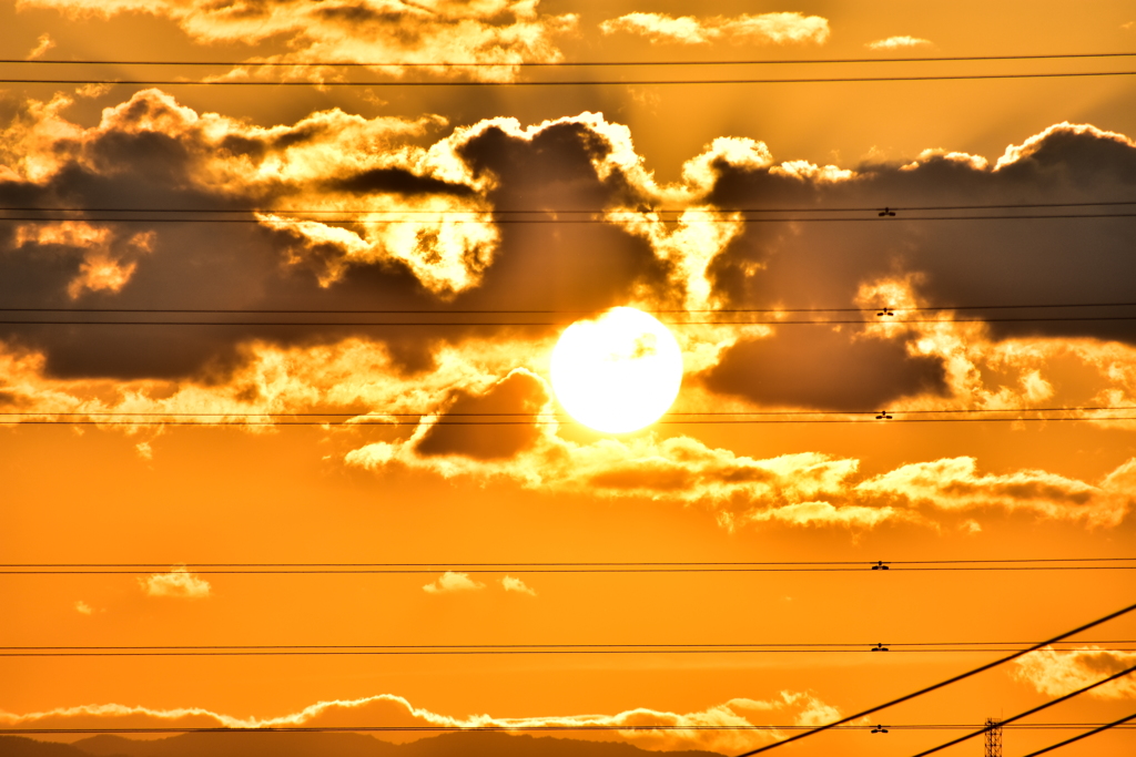 今日も一日お疲れ様でした。