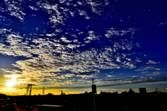 今朝の光景！　11/12