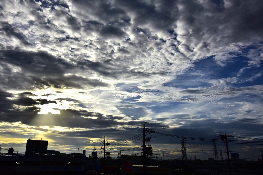 今朝の光景！　9/11