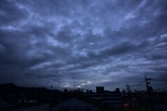 今日も梅雨空！　7/1