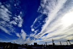 秋なのか？冬なのか？　11/11