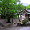雨の和霊神社！　7/14